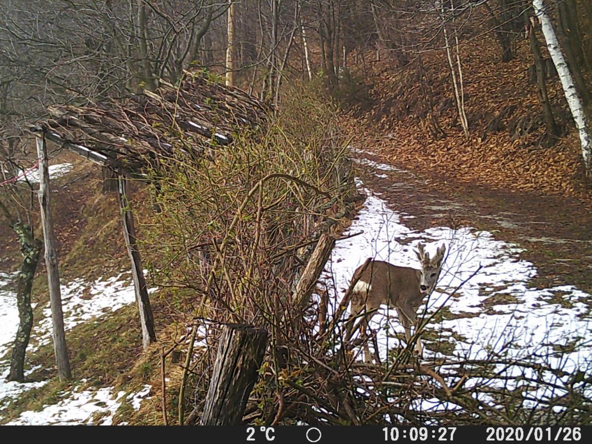 Casa Nel Bosco Villa Osiglia Dış mekan fotoğraf