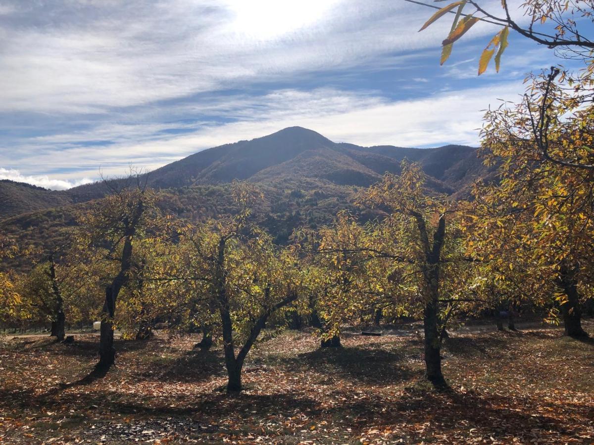 Casa Nel Bosco Villa Osiglia Dış mekan fotoğraf