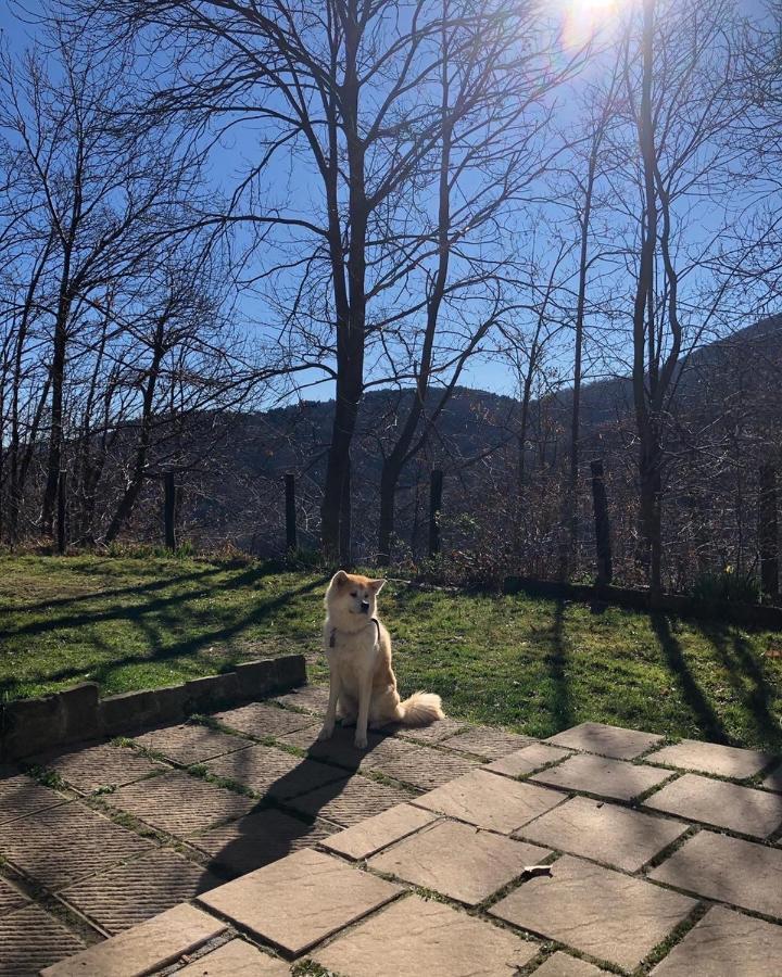 Casa Nel Bosco Villa Osiglia Dış mekan fotoğraf