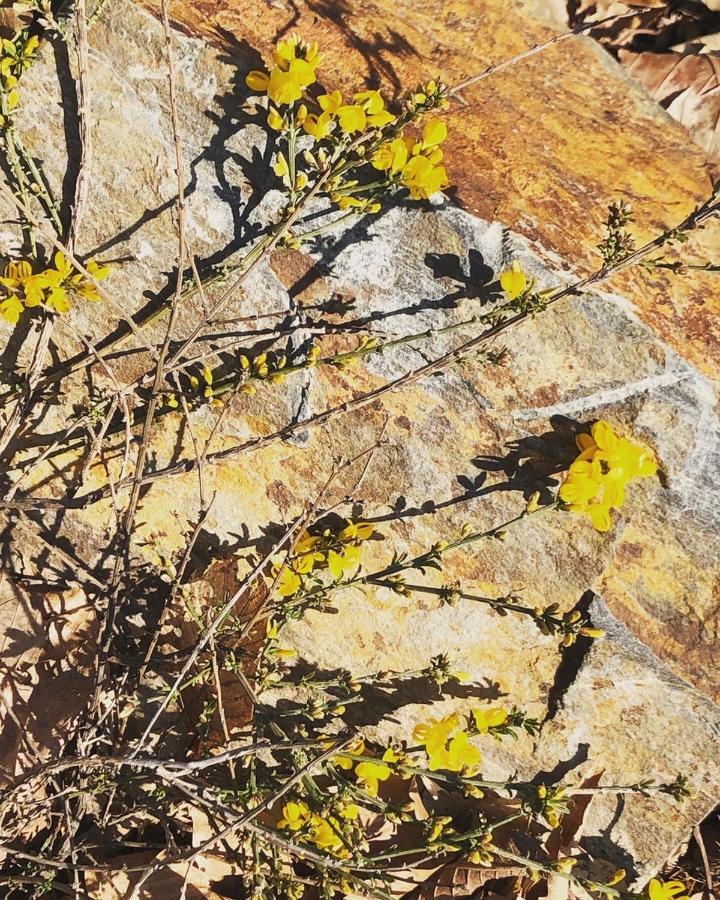 Casa Nel Bosco Villa Osiglia Dış mekan fotoğraf