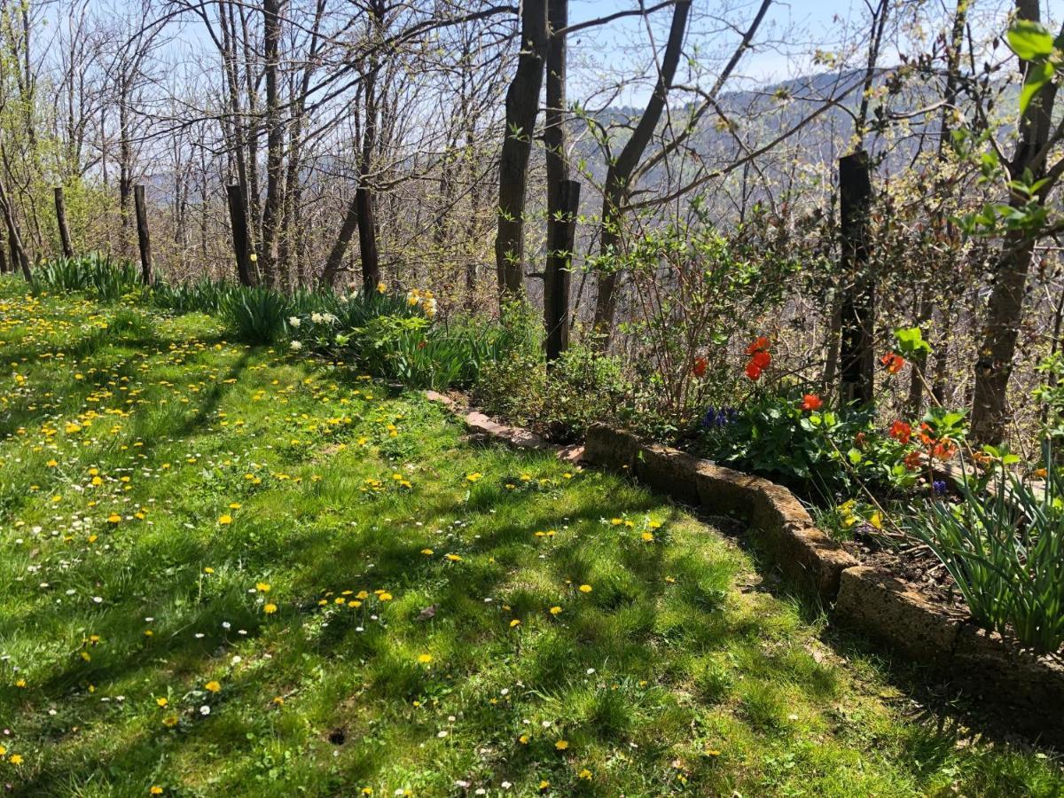Casa Nel Bosco Villa Osiglia Dış mekan fotoğraf