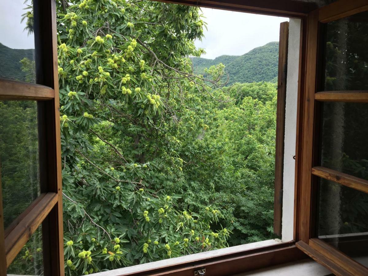 Casa Nel Bosco Villa Osiglia Dış mekan fotoğraf