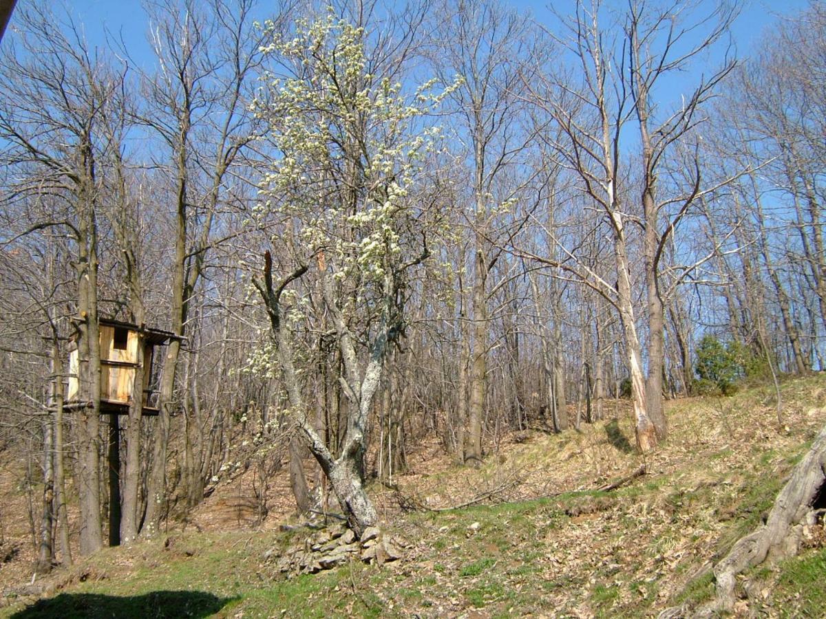 Casa Nel Bosco Villa Osiglia Dış mekan fotoğraf
