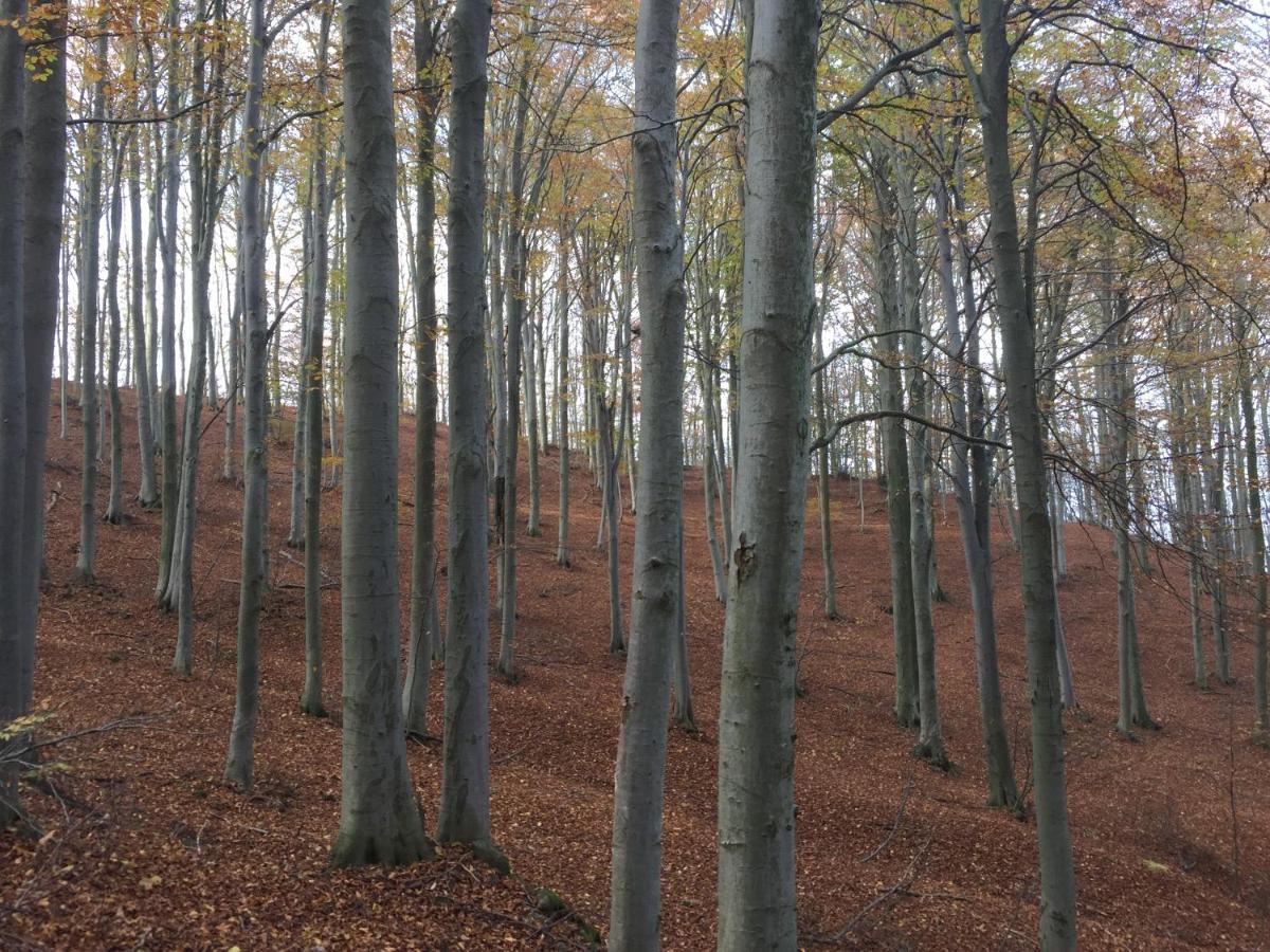 Casa Nel Bosco Villa Osiglia Dış mekan fotoğraf